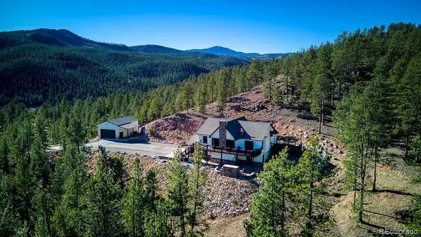16654 S 7th Street, Pine, CO 80470