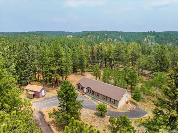 156 Fossil Creek Road, Florissant, CO 80816