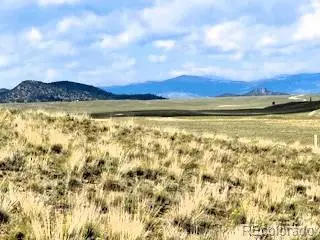 785 Cherokee Trail, Hartsel, CO 80449