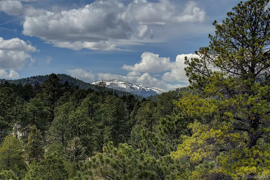 27987 Richmond Hill Road, Conifer, CO 80433 - #3