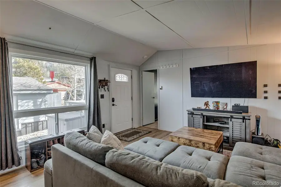 56 Magnum Bonum Drive, Breckenridge, CO 80424 - #3