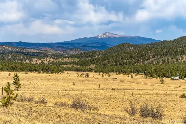 Pike View Drive, Lake George, CO 80827