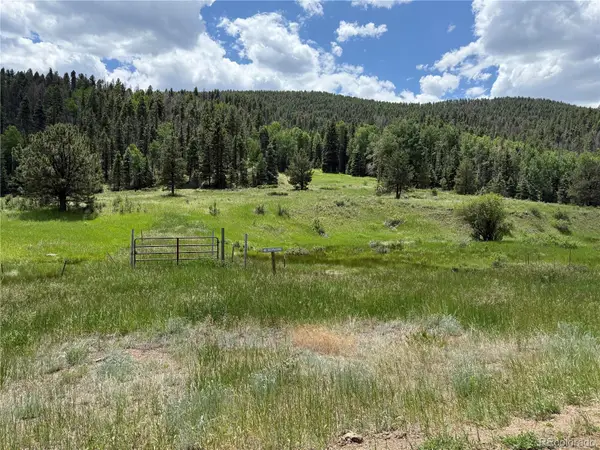 7700 Junkins Park, Westcliffe, CO 81252