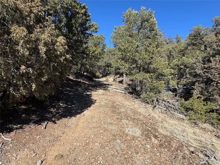 1214 Kevin Drive, Cotopaxi, CO 81223 - #3