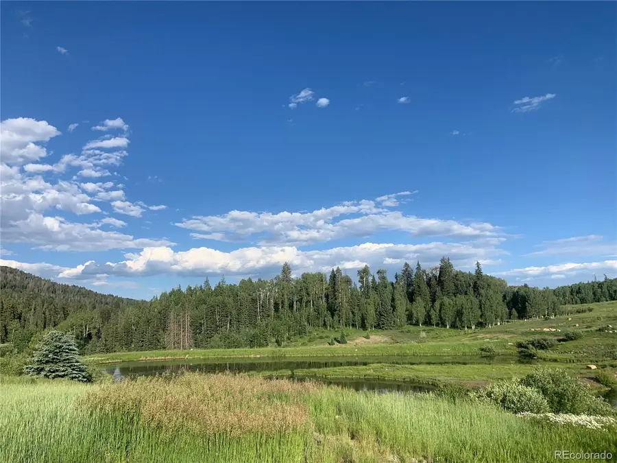 205 Lost Valley Drive, Creede, CO 81130 - #2