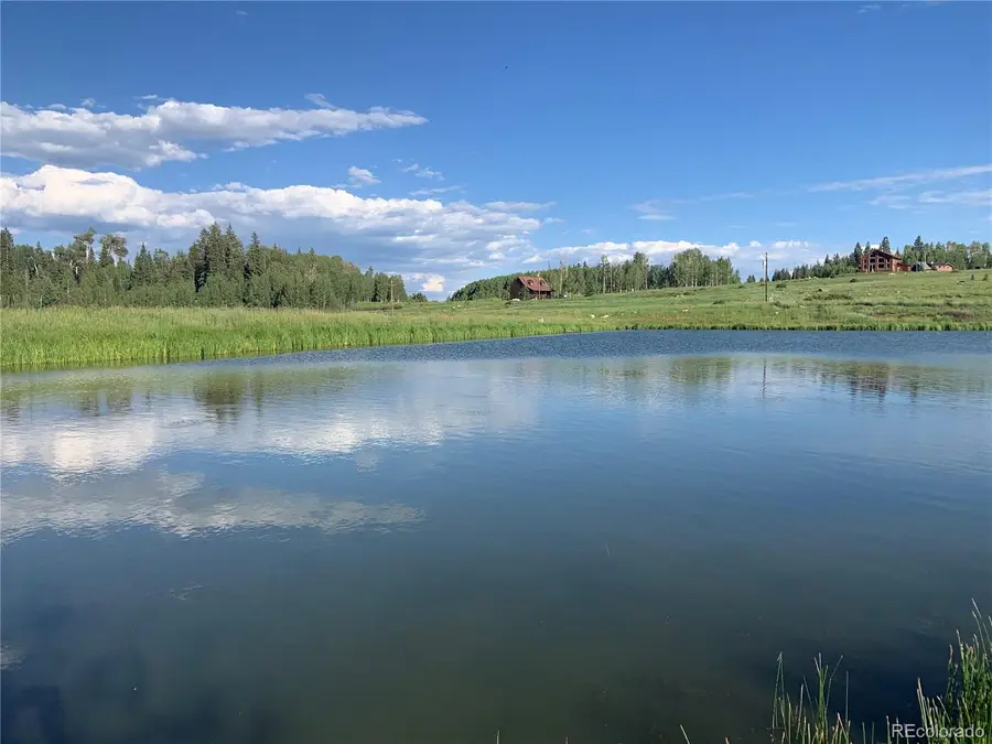 205 Lost Valley Drive, Creede, CO 81130 - #3