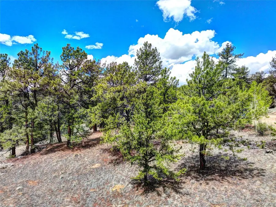 00 York, Jefferson, CO 80456 - #2