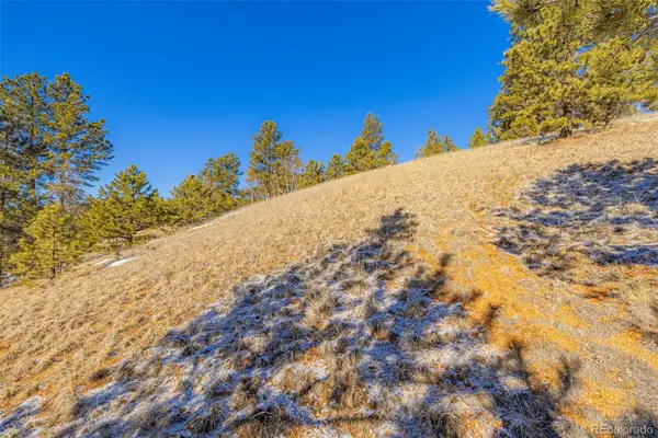 772 E Bison Creek Trail, Florissant, CO 80816