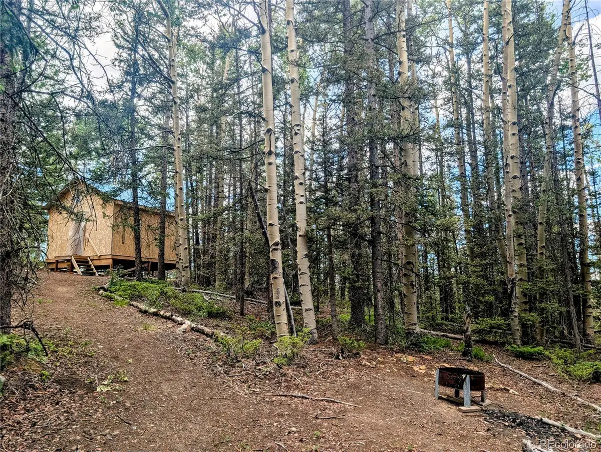 8.5 Acres Phillips, Fort Garland, CO 81133 - #1