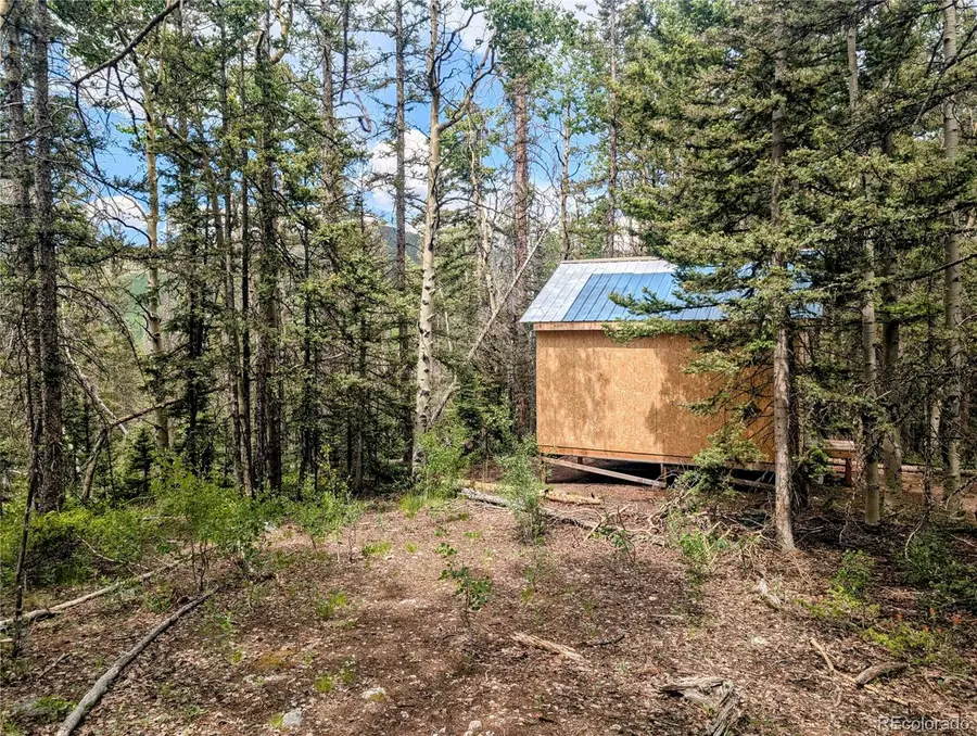 8.5 Acres Phillips, Fort Garland, CO 81133 - #3