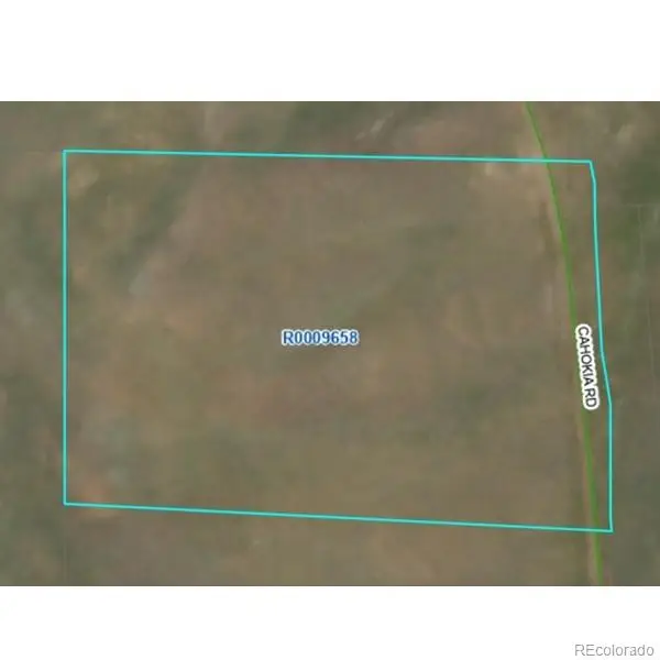 4253 Cahokia Road, Hartsel, CO 80449
