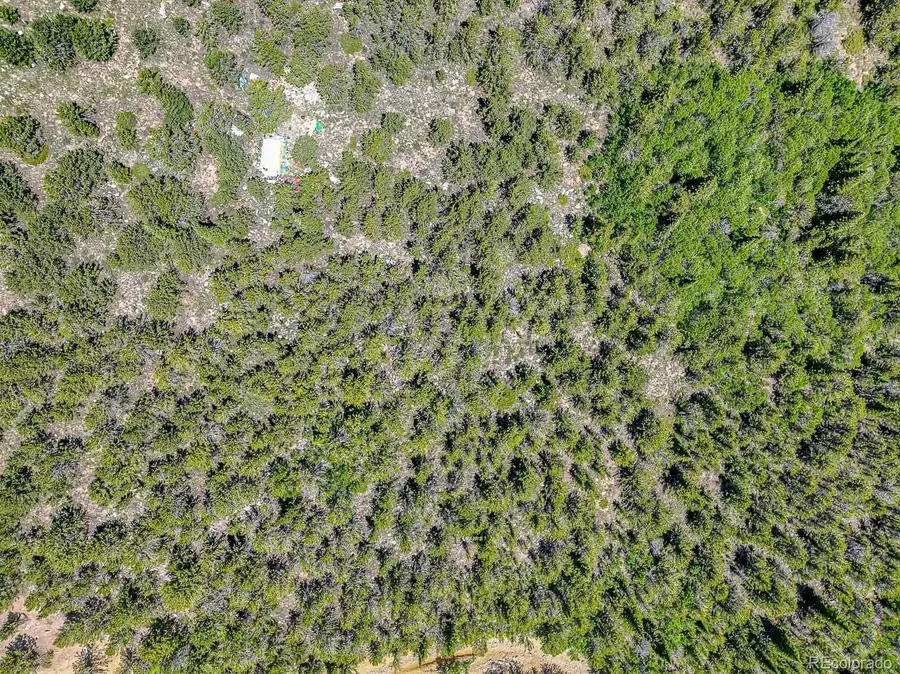 111 Moldavia Claim, Black Hawk, CO 80427 - Image #2