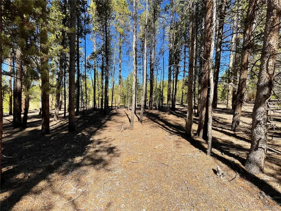 300 Virginia Avenue, Leadville, CO 80461 - Image #3