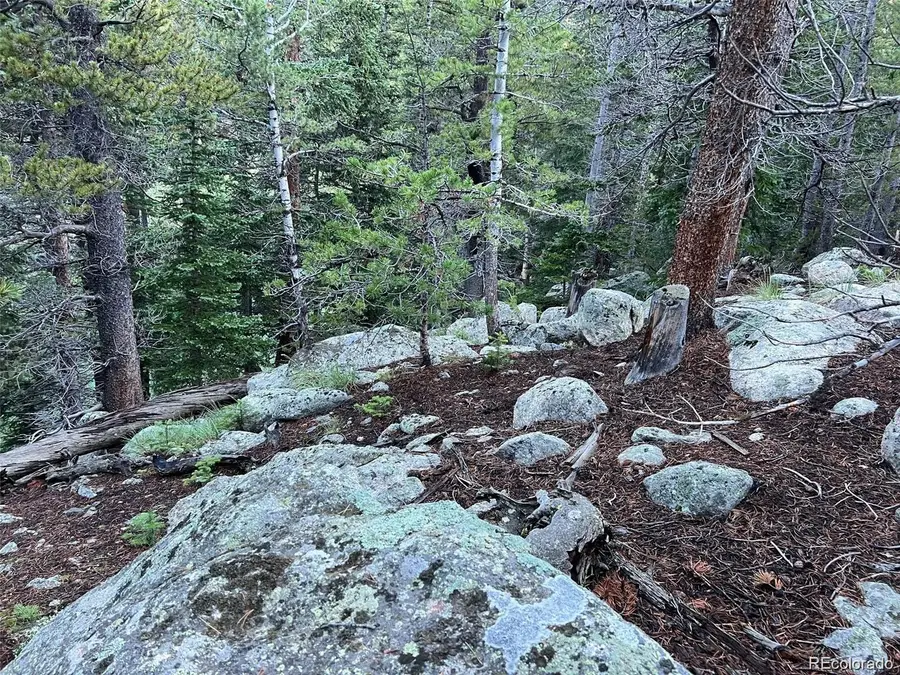 111 Lake Road, Idaho Springs, CO 80452 - #2