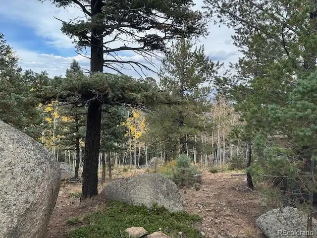 5304 Lost Cabin Road, Manitou Springs, CO 80829 - Image #3