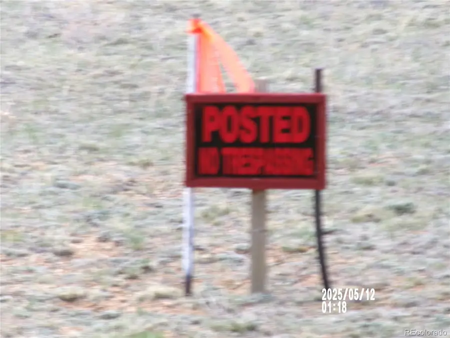 333 County Road 333, Lake George, CO 80827 - Image #2