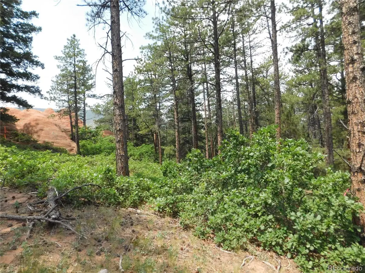 8356 Quivas Road, Larkspur, CO 80118 - #1