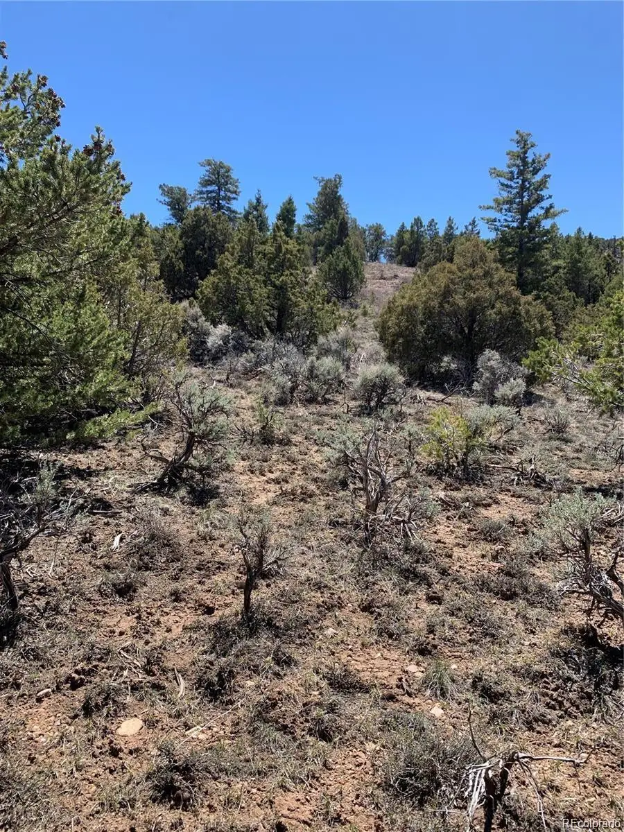 5401 Balleroy Road, Fort Garland, CO 81133 - Image #2