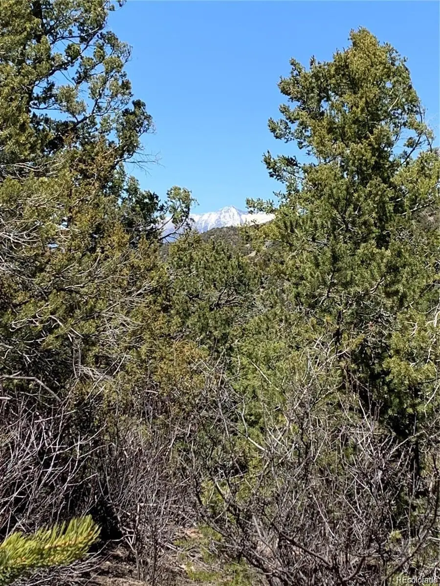 5401 Balleroy Road, Fort Garland, CO 81133 - Image #3