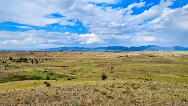 631 Dwyer Trail, Hartsel, CO 80449