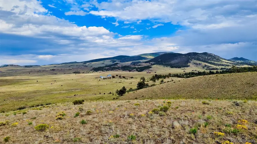 631 Dwyer Trail, Hartsel, CO 80449 - Image #3