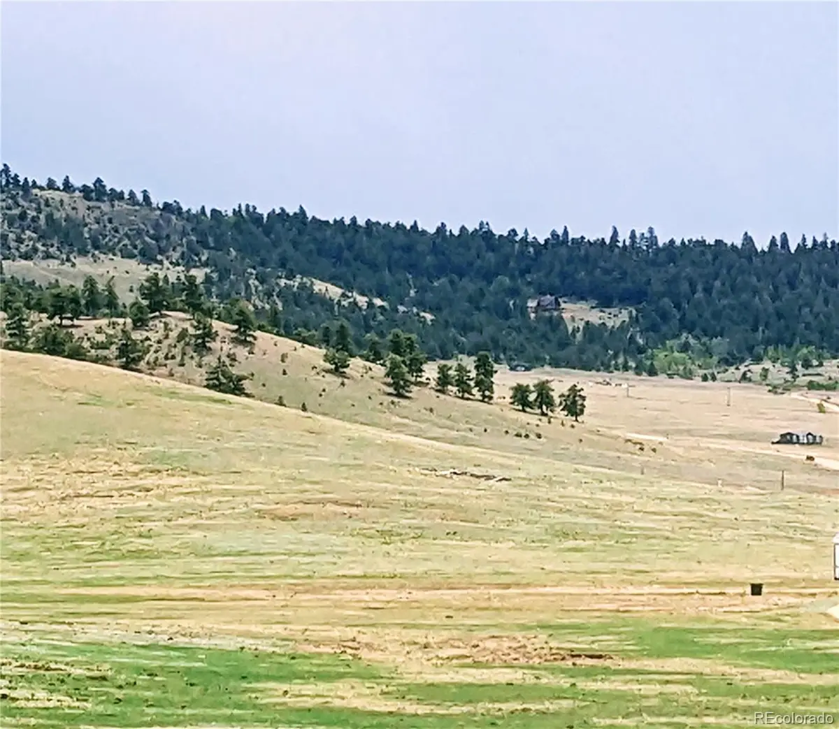 42 Vitorio Trail, Hartsel, CO 80449 - #1