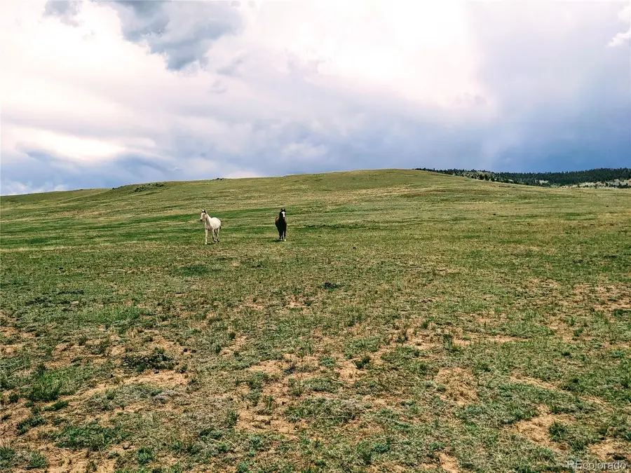 42 Vitorio Trail, Hartsel, CO 80449 - #2