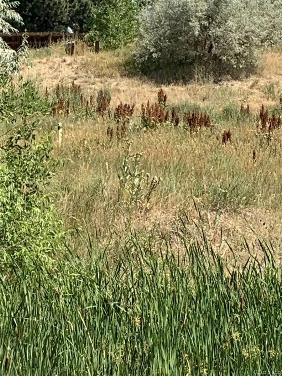 8348 S Carr Way, Littleton, CO 80128 - #1