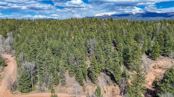3075 N Mountain Estates Road, Florissant, CO 80816