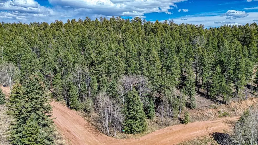 3075 N Mountain Estates Road, Florissant, CO 80816 - #2