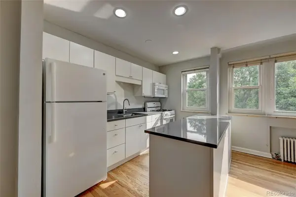 505 N Logan Street #6, Denver, CO 80203