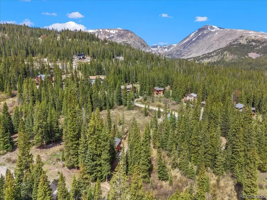 107 Scr 675, Breckenridge, CO 80424 - #2