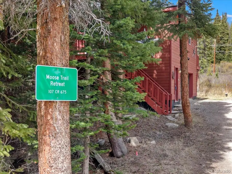 107 Scr 675, Breckenridge, CO 80424 - #3