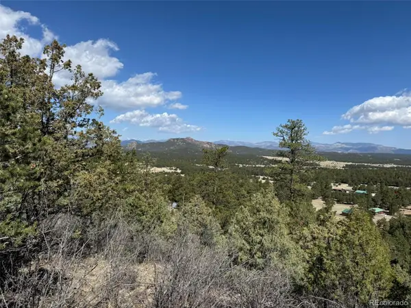 TR-121 19th Trail, Cotopaxi, CO 81223