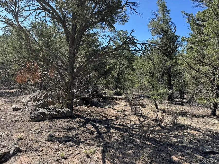 TR-121 19th Trail, Cotopaxi, CO 81223 - Image #2