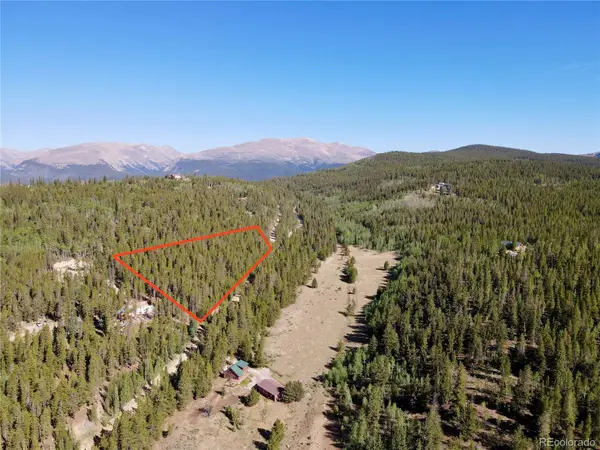 163 Co Rd 665, Fairplay, CO 80440