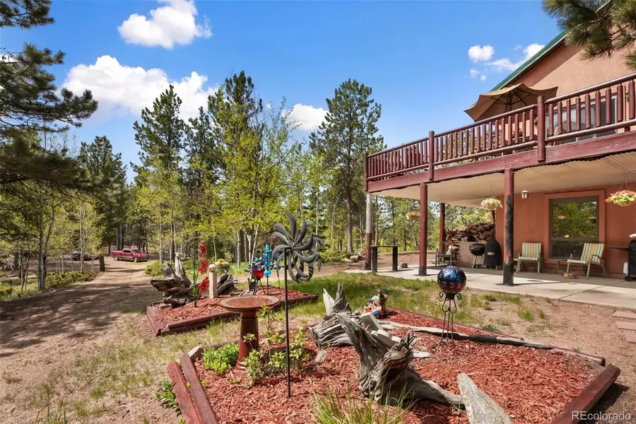 381 Saddleback Creek Drive, Florissant, CO 80816 - #3