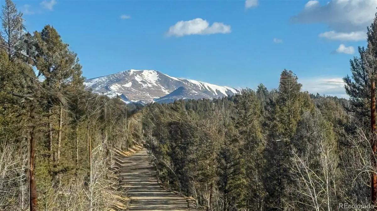 3132 Middle Fork Vista, Fairplay, CO 80440 - #1