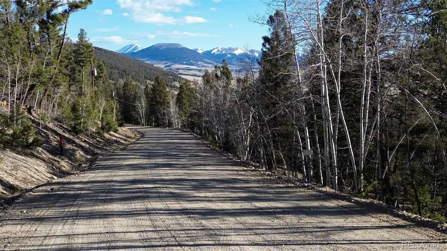 3132 Middle Fork Vista, Fairplay, CO 80440 - #2