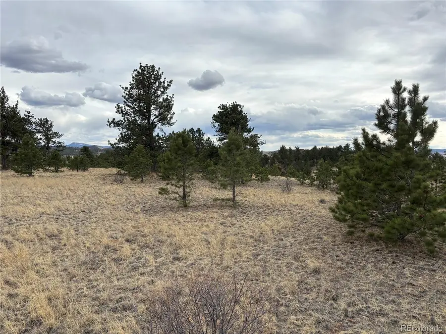 Hiawatha Circle, Hartsel, CO 80449 - #2