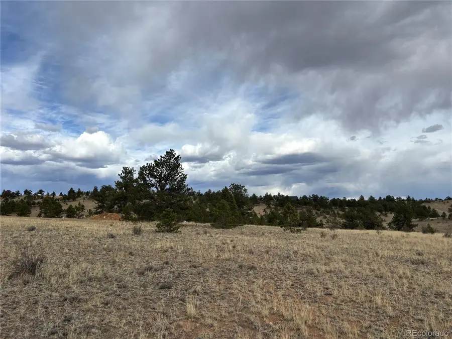 Hiawatha Circle, Hartsel, CO 80449 - #3