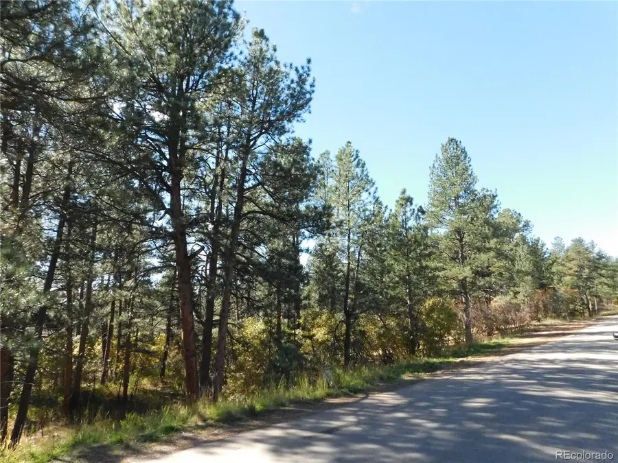 682 Copper Fox Place, Larkspur, CO 80118 - Image #3