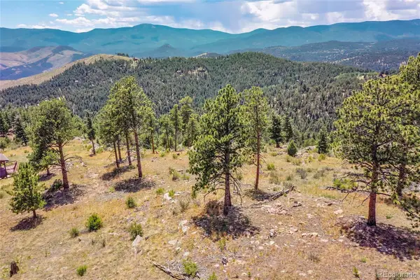 33550 Mount Wilson Trail, Pine, CO 80470