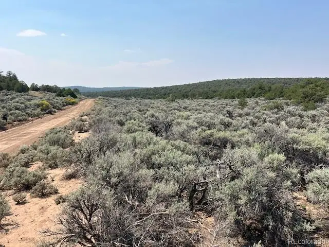 Lot 12 Bull Elk Trail, San Luis, CO 81152 - #2