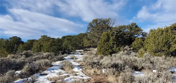 Lot 7265 Tiernan Road, Fort Garland, CO 81133