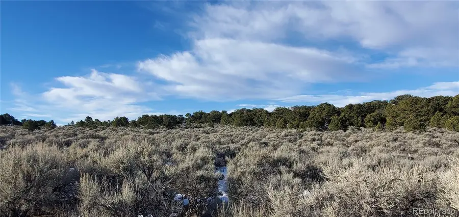 Lot 7265 Tiernan Road, Fort Garland, CO 81133 - #2