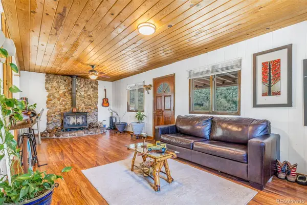 145 Bailey Drive, Bailey, CO 80421