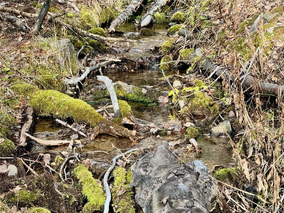 Ryland Road, San Luis, CO 81152 - #1