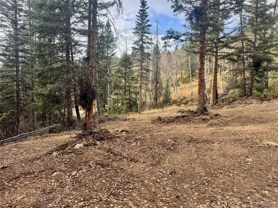 Ryland Road, San Luis, CO 81152 - #2