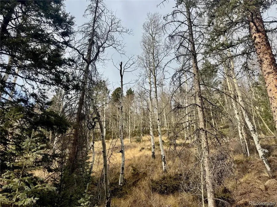 Ryland Road, San Luis, CO 81152 - #3